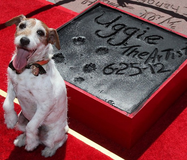 Superstar Uggie leaves his pawtograph at Grumman's Chinese Theater, Los Angeles